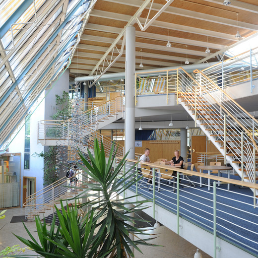 Website Relaunch für Schule