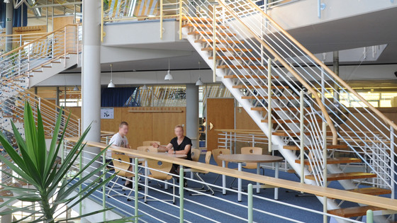 TYPO3 Relaunch für Berufsfachschule