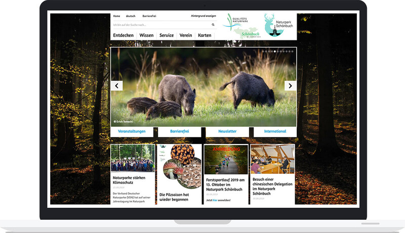 TYPO3 Website mit individuellen Programmierungen
