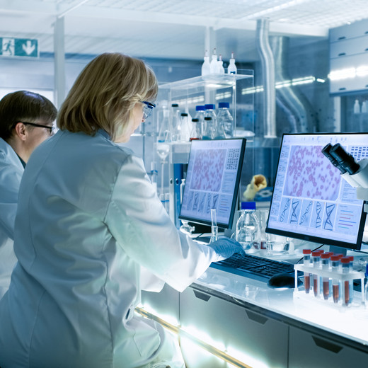 TYPO3 Multi-Site für AID-Gruppe