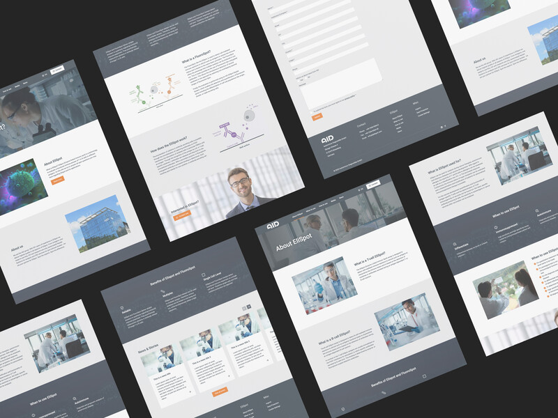 Modernes TYPO3 Webdesign