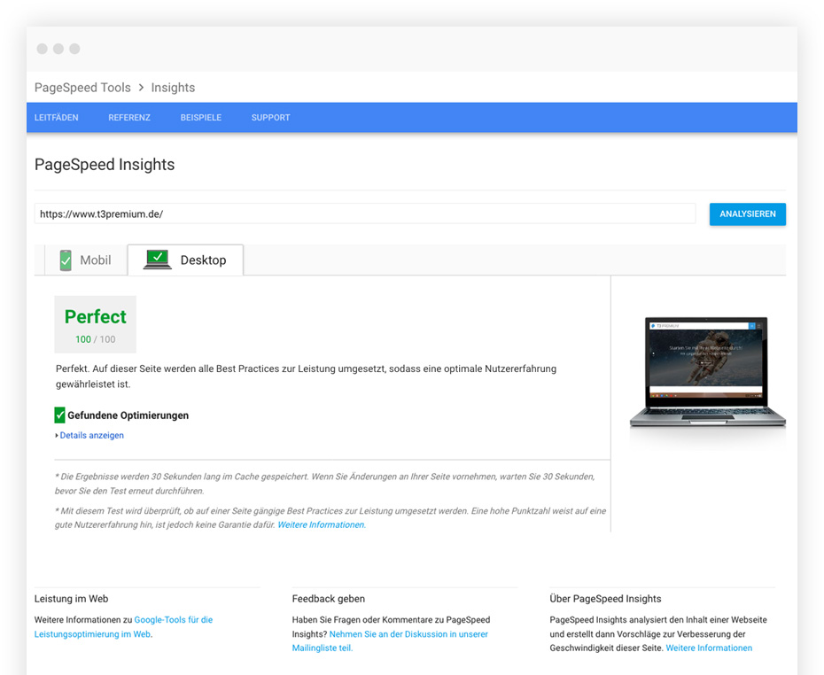 Google PageSpeed Insights Performance-Optimierung