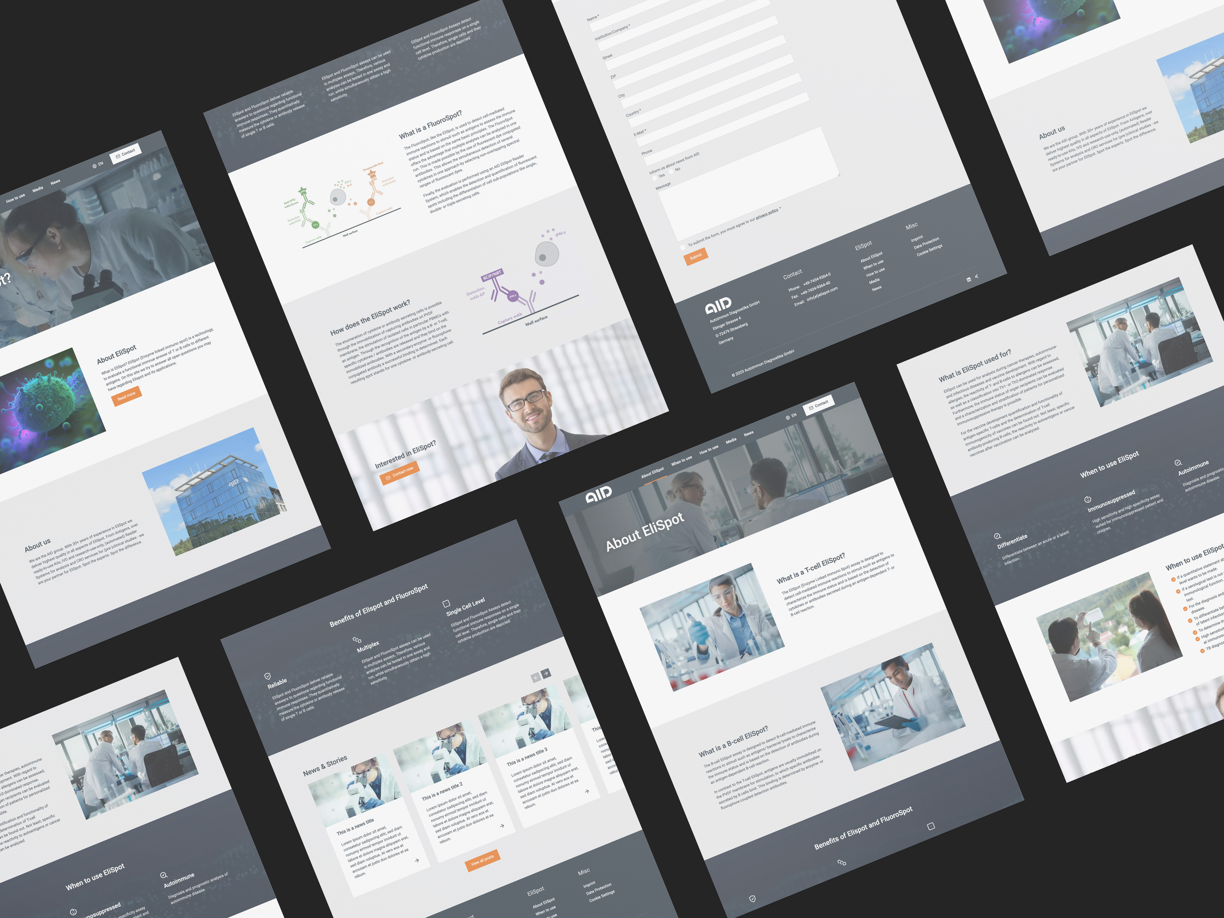 Modernes TYPO3 Webdesign
