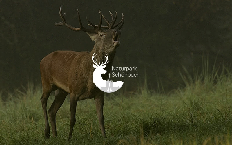 TYPO3 Website für Naturpark